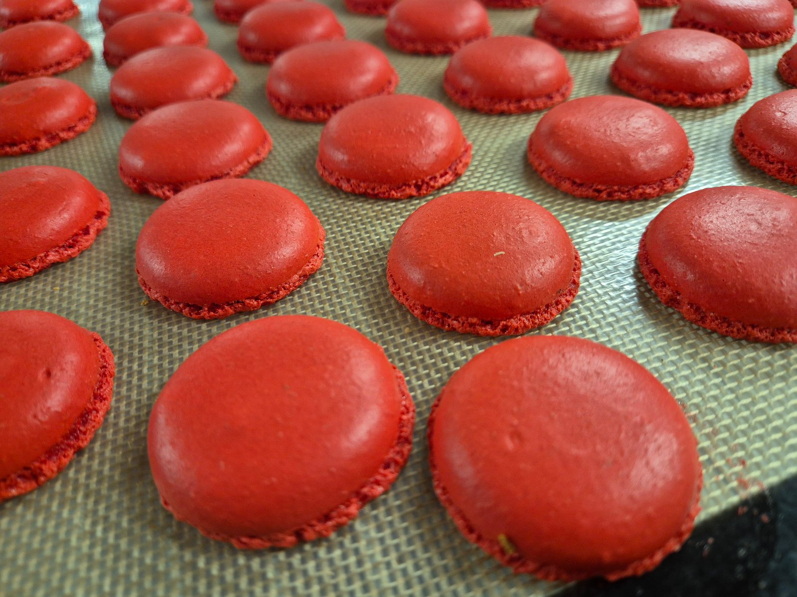 Coques macarons